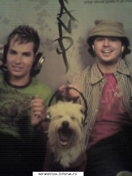 poze randi randi, moga catelul1