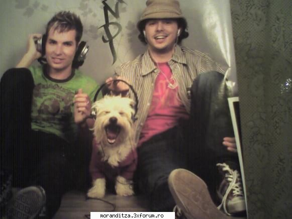 poze randi randi, moga catelul