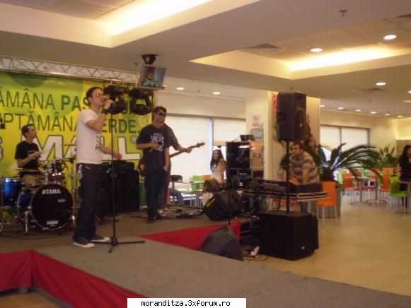 21 aprilie 2008 constanta tomis mall animal x